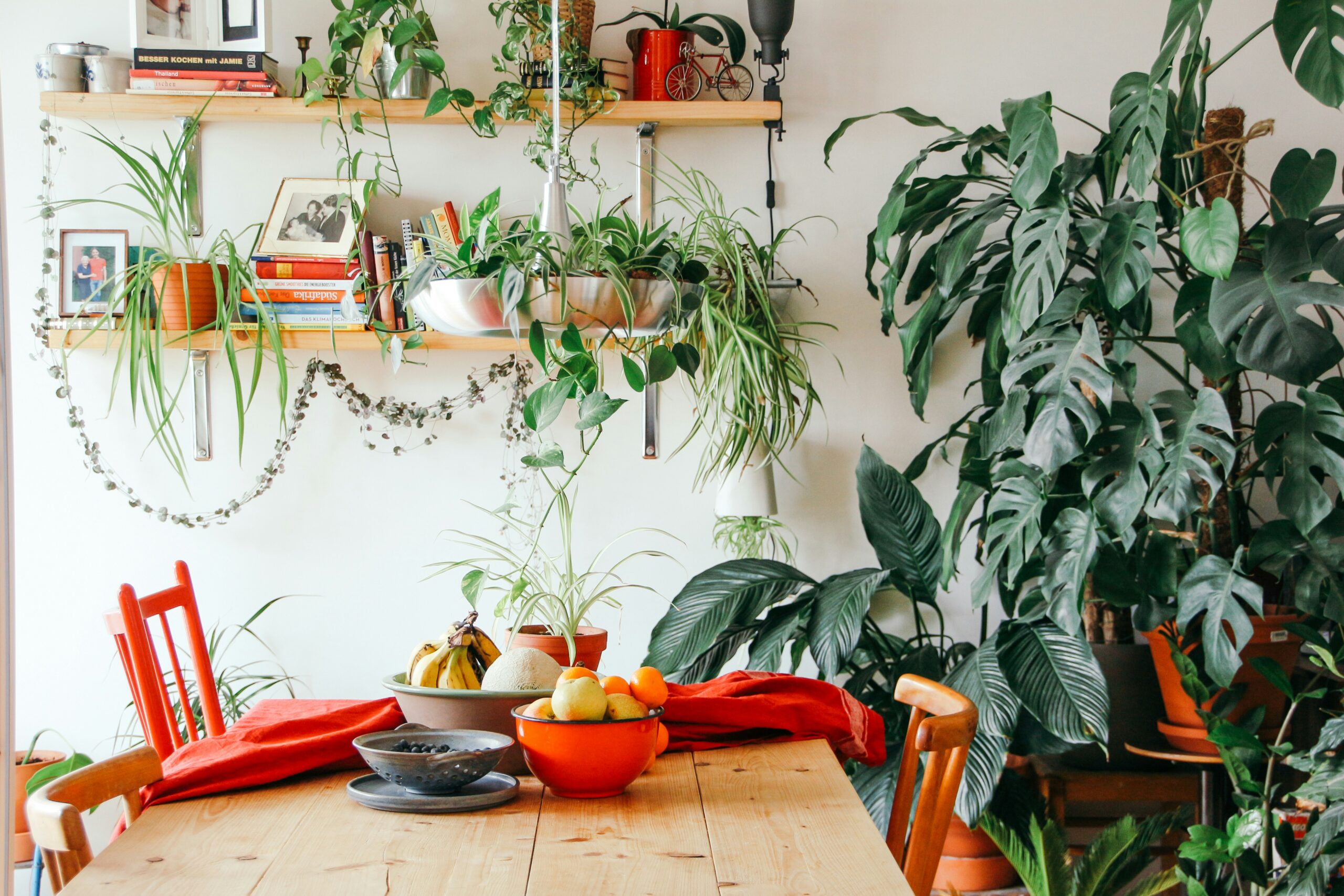 brina-blum-RNBxppNpAPc-unsplash